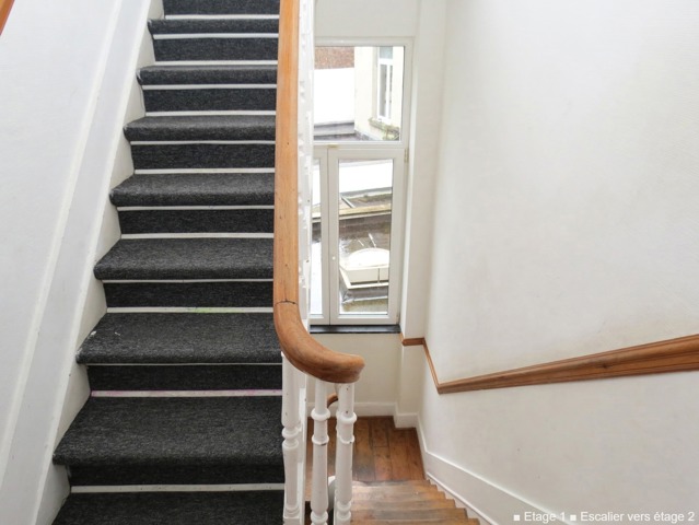 House/appartment inside and outside