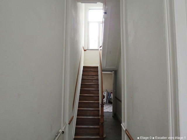 House/appartment inside and outside