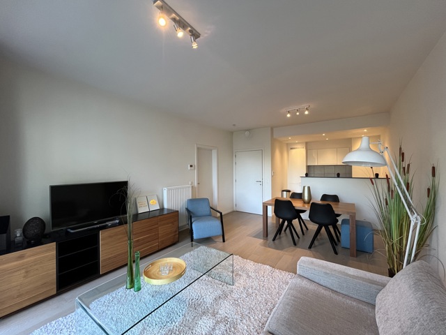 House/appartment inside and outside