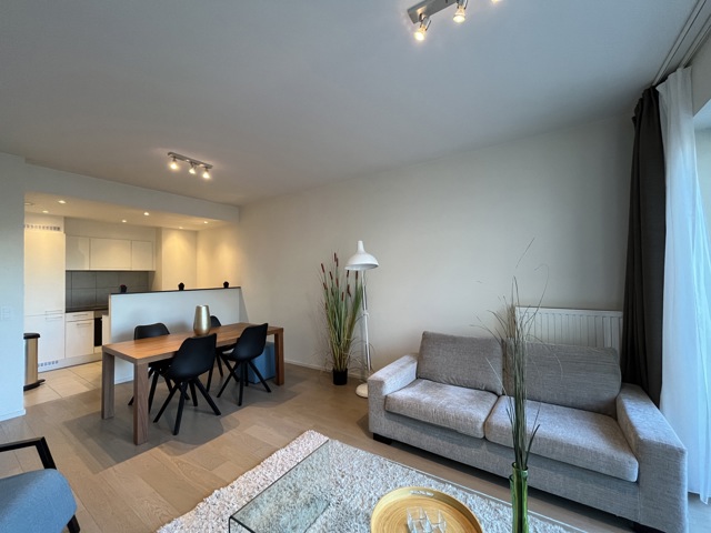 House/appartment inside and outside