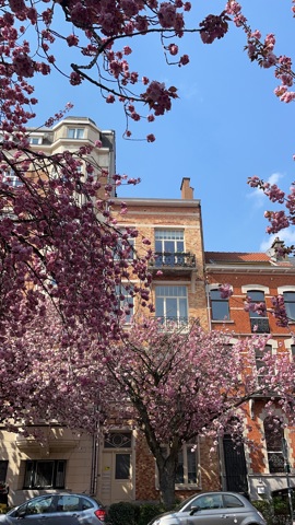 Duplex - Schaerbeek - #7779854-0