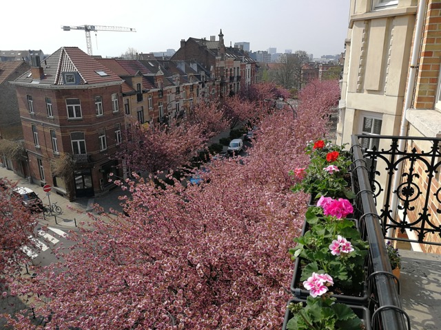 Duplex - Schaerbeek - #7779854-0