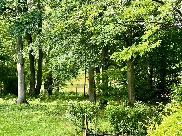 Terrain à bâtir - à vendre - 1330 Rixensart