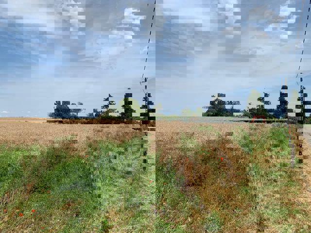 Bouwgrond - te koop - 5540 HASTIERE