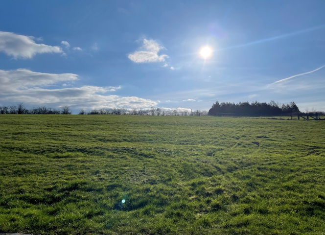 Terrain à bâtir - à vendre - 5570 DION