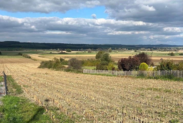 Bouwgrond - te koop - 5573 MARTOUZIN-NEUVILLE