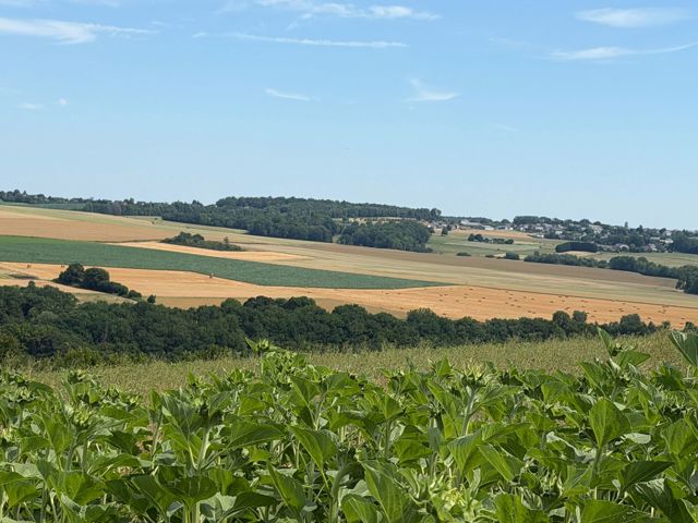 Terrain à bâtir - à vendre - 5540 HASTIERE