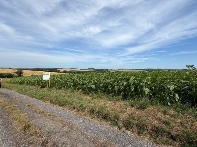 Terrain à bâtir - à vendre - 5540 HASTIERE