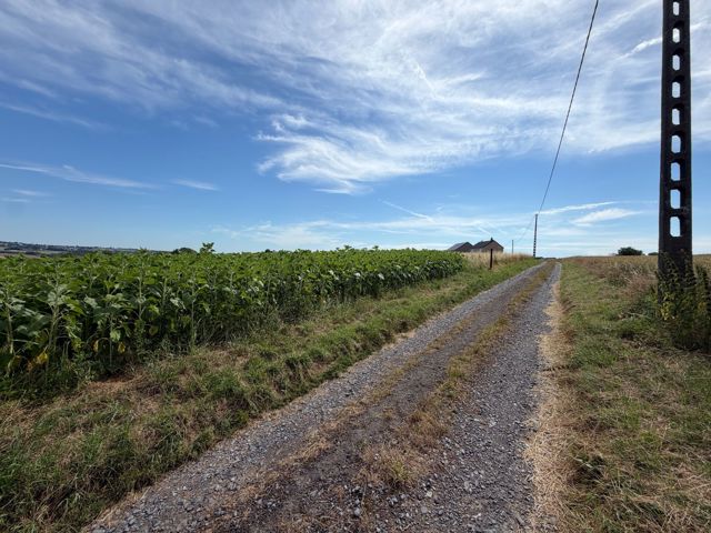 Terrain à bâtir - à vendre - 5540 HASTIERE