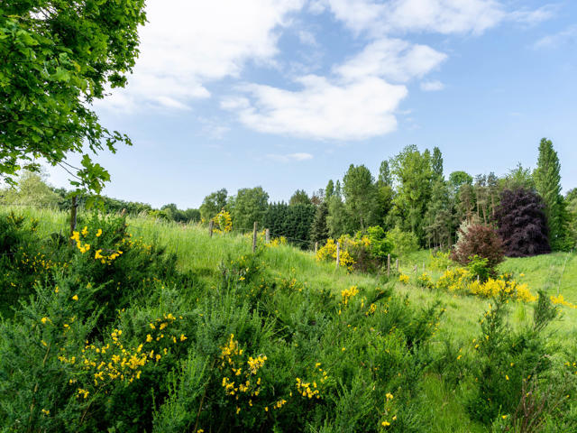 Walloon Brabant I Lasne Chapelle
