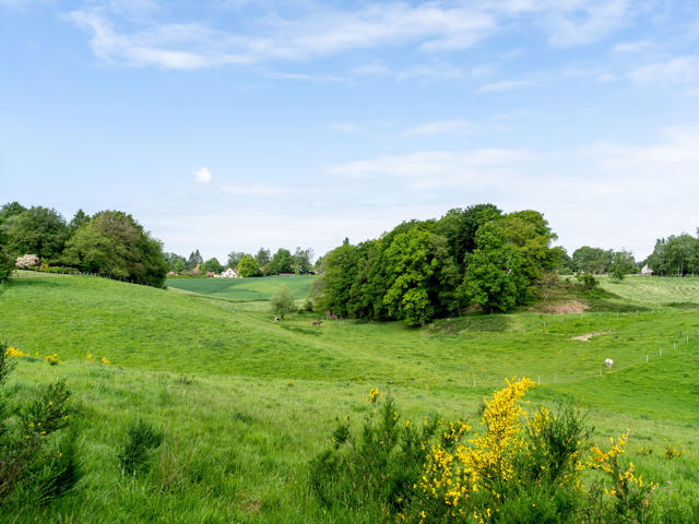 Walloon Brabant I Lasne Chapelle