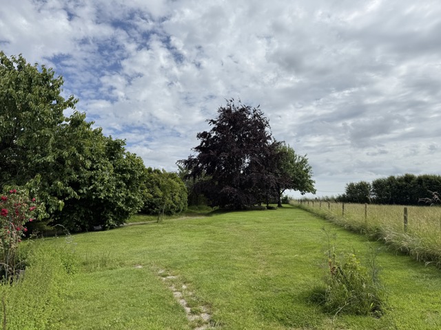 Vignettes biens
