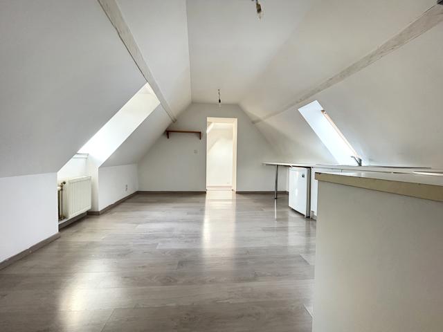 Bel appartement totalement rénové une chambre situé  au centre-ville de Tournai! Libre le 1er aout 2026 avec possibilité de suite ! 