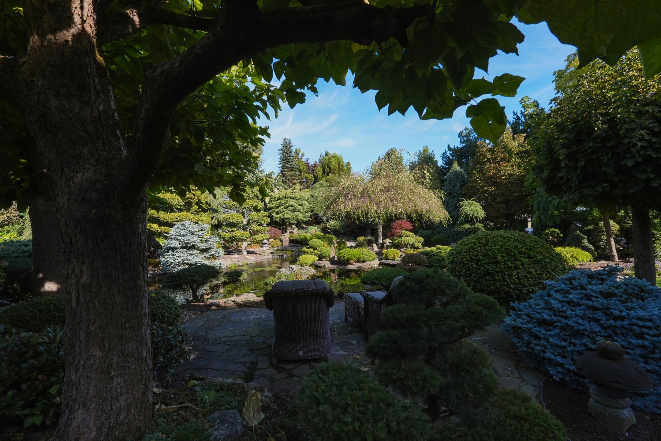 Vignettes biens