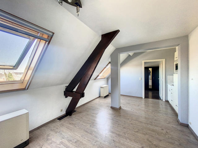 Appartement 1 chambre. Libre le 1er octobre 2026.