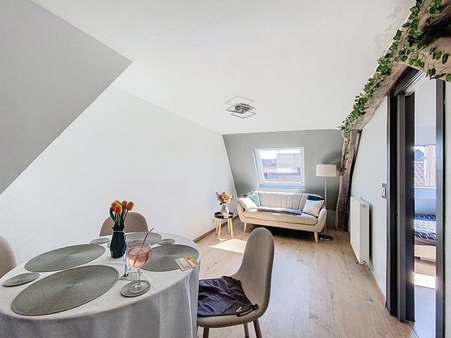 Bel appartement une chambre à 300 mètres des Bastions ! Libre le 1er décembre avec possibilité de suite!