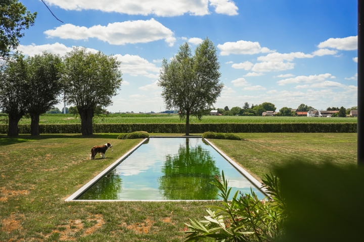Vignettes biens