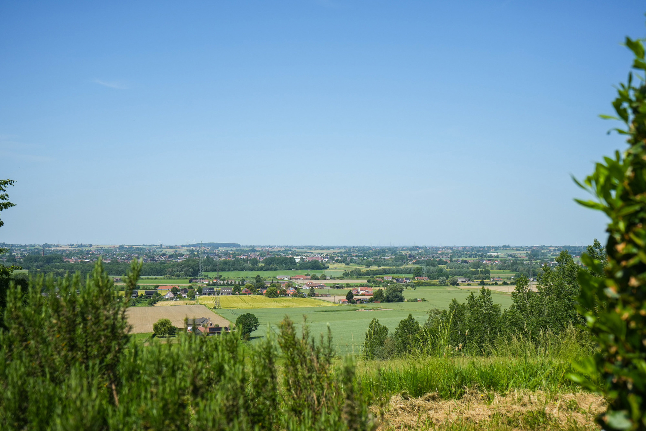 Vignettes biens