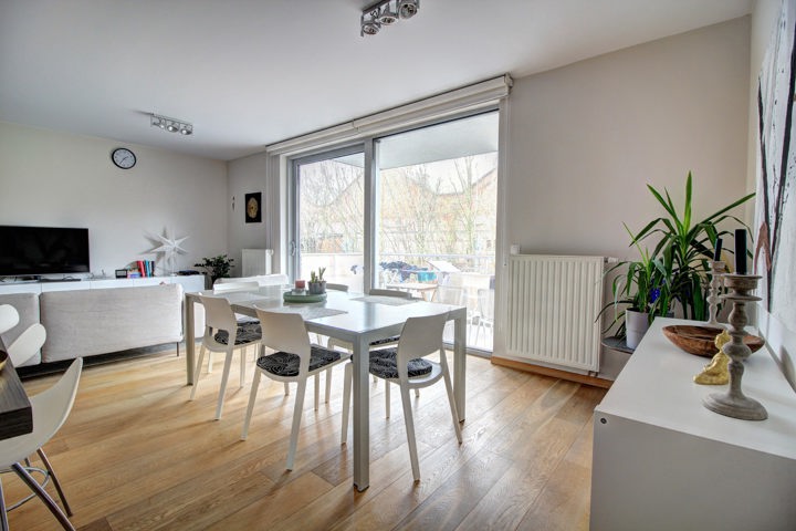 Reigersvliet C5 NEW — 10