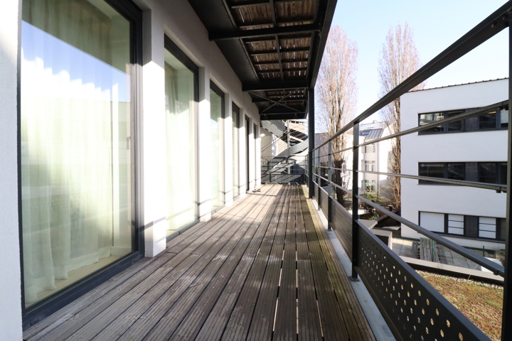 STASSART 36 3.08 — 17