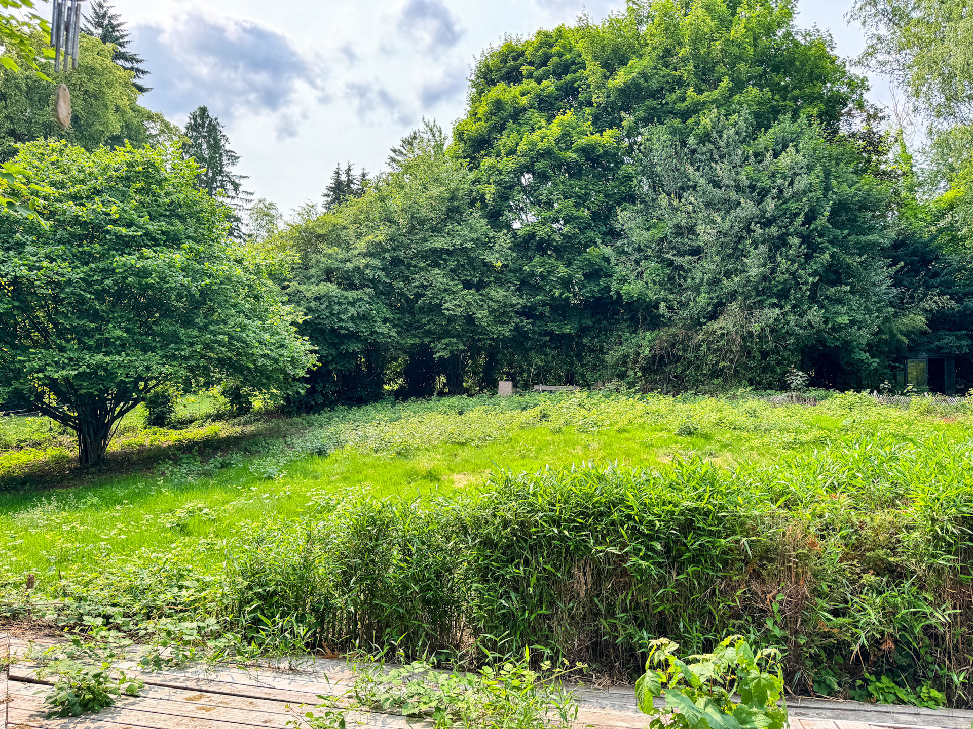 Fort Jaco – Terrain de 77,3 ares avec maison à rénover