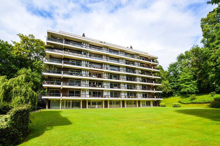 Grand studio proximité Bois de la Cambre