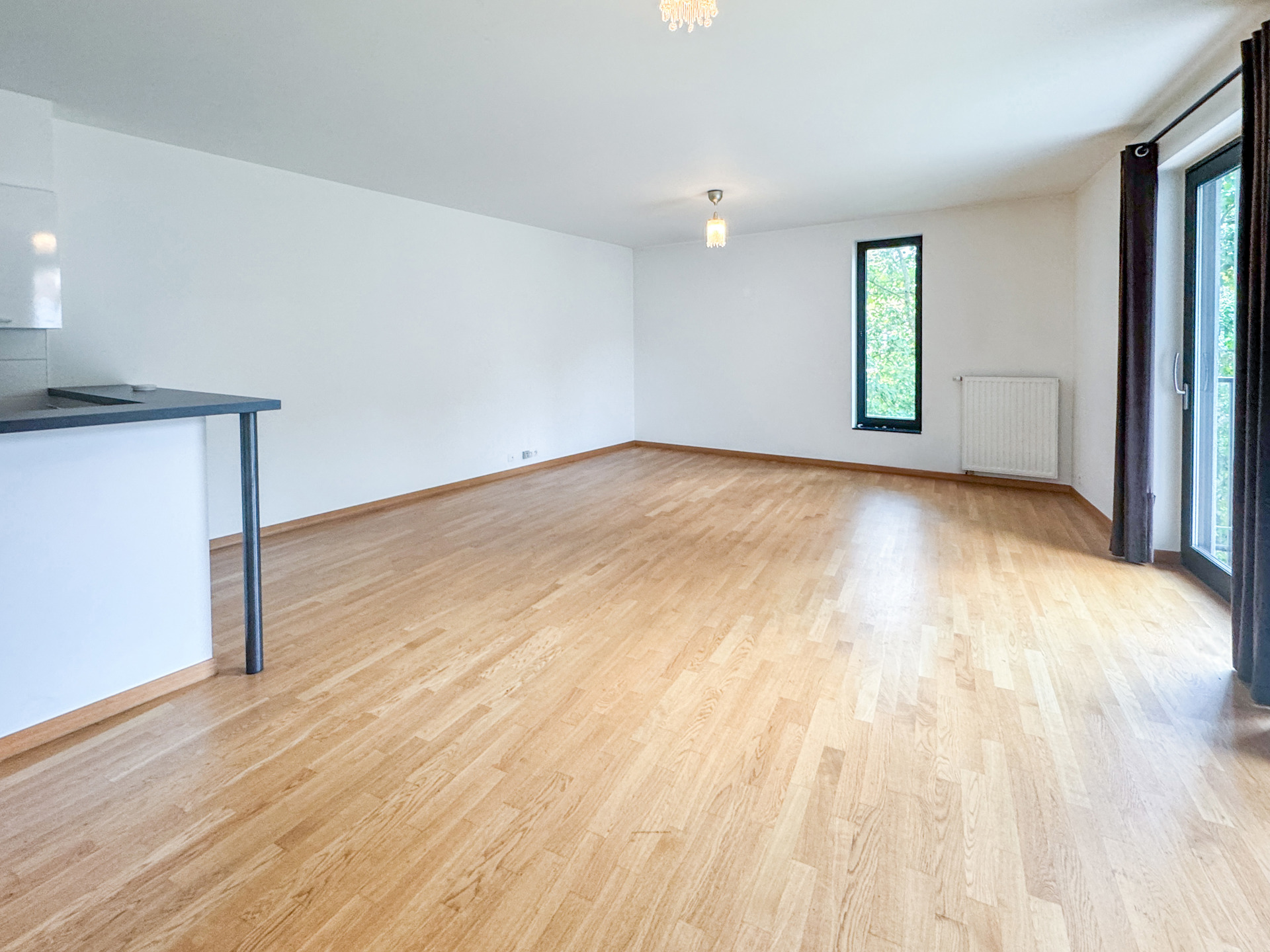 Appartement 2 CH 2 SDB avec terrasse