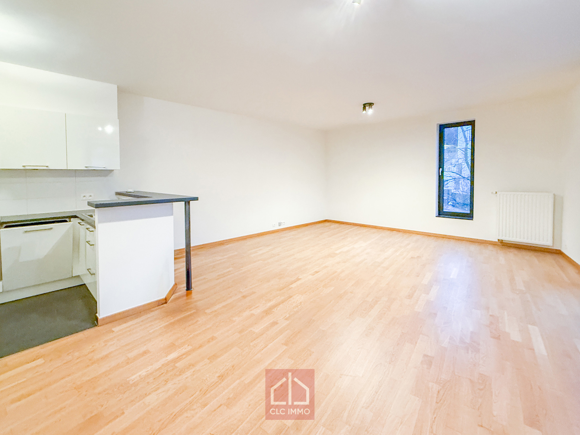 Appartement 2 CH 2 SDB avec terrasse