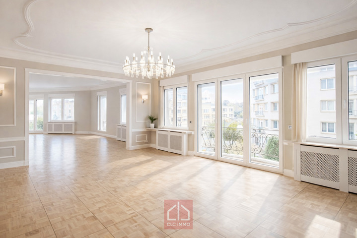 Magnifique appartement remis à neuf