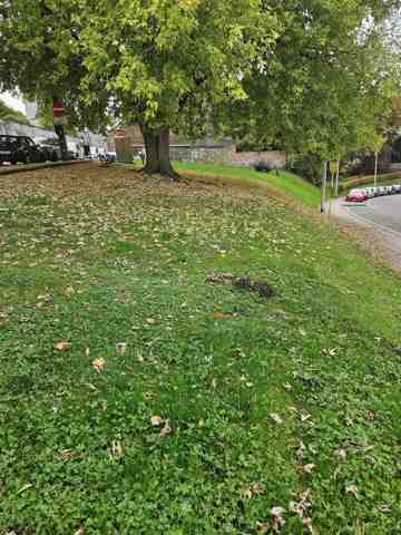 Maison - à louer - 4500 Huy