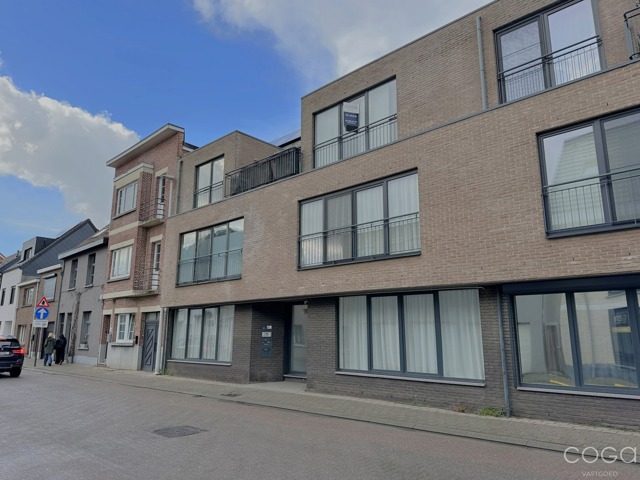 Schoten