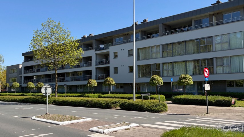 Schoten