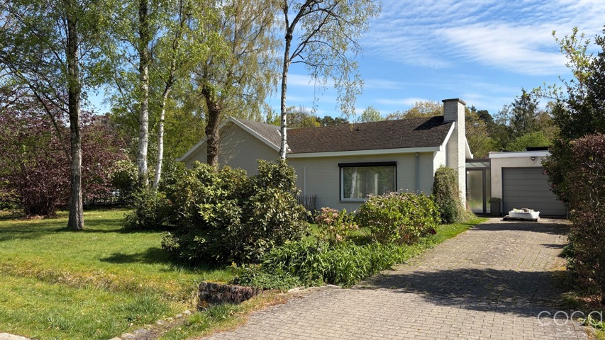 Schoten