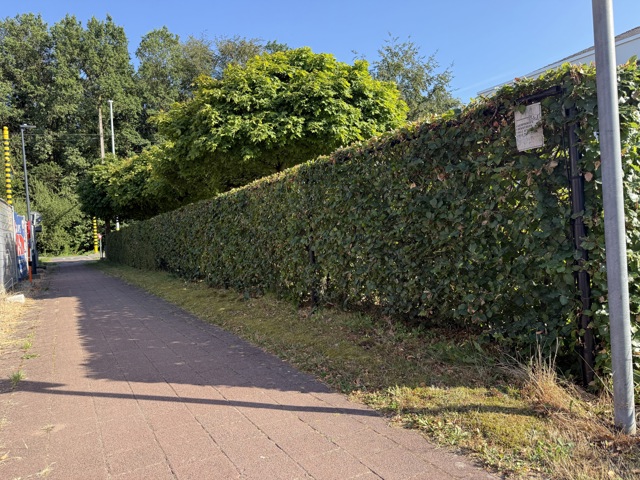 Bouwgrond 5