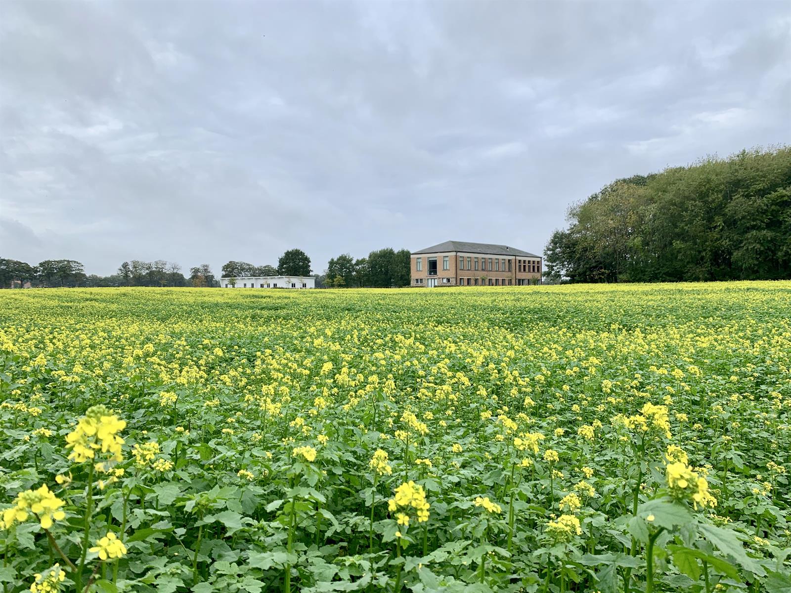 Unieke eigendom - Aalter
