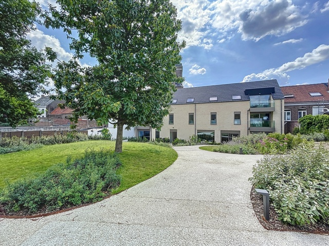 Deinzestraat 15 03.01, 9700 Oudenaarde Irish Pipes