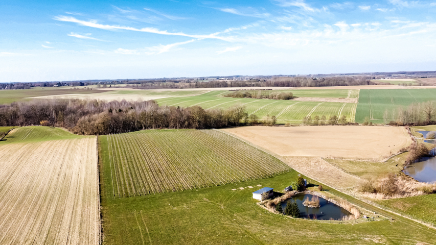 Terrain à bâtir - à vendre - 1495 Villersla-Ville Sart-Dames-Avelines