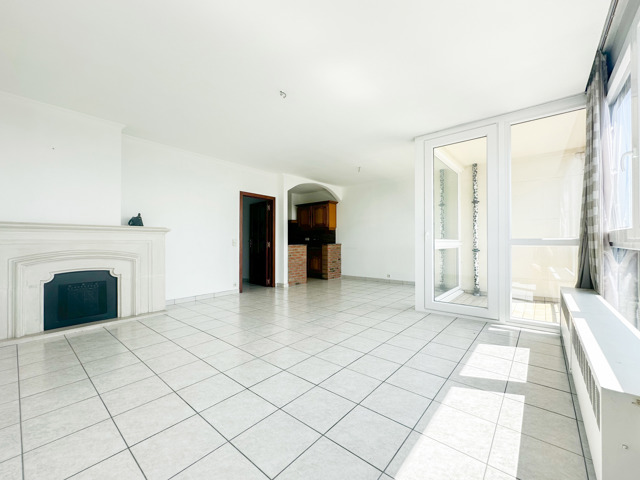 DELFIMMO - LUMINEUX APPARTEMENT - BALCON - POSS. GARAGE !