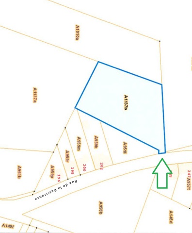 Terrain à bâtir - Remicourt Hodeige - #7193996-0