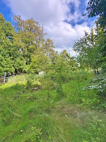 Maison - Seraing - #7202316-0