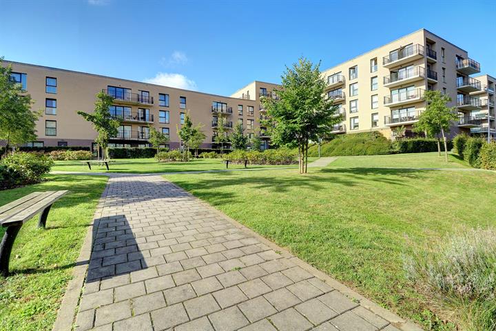 Flat - for rent - 1160 AUDERGHEM
