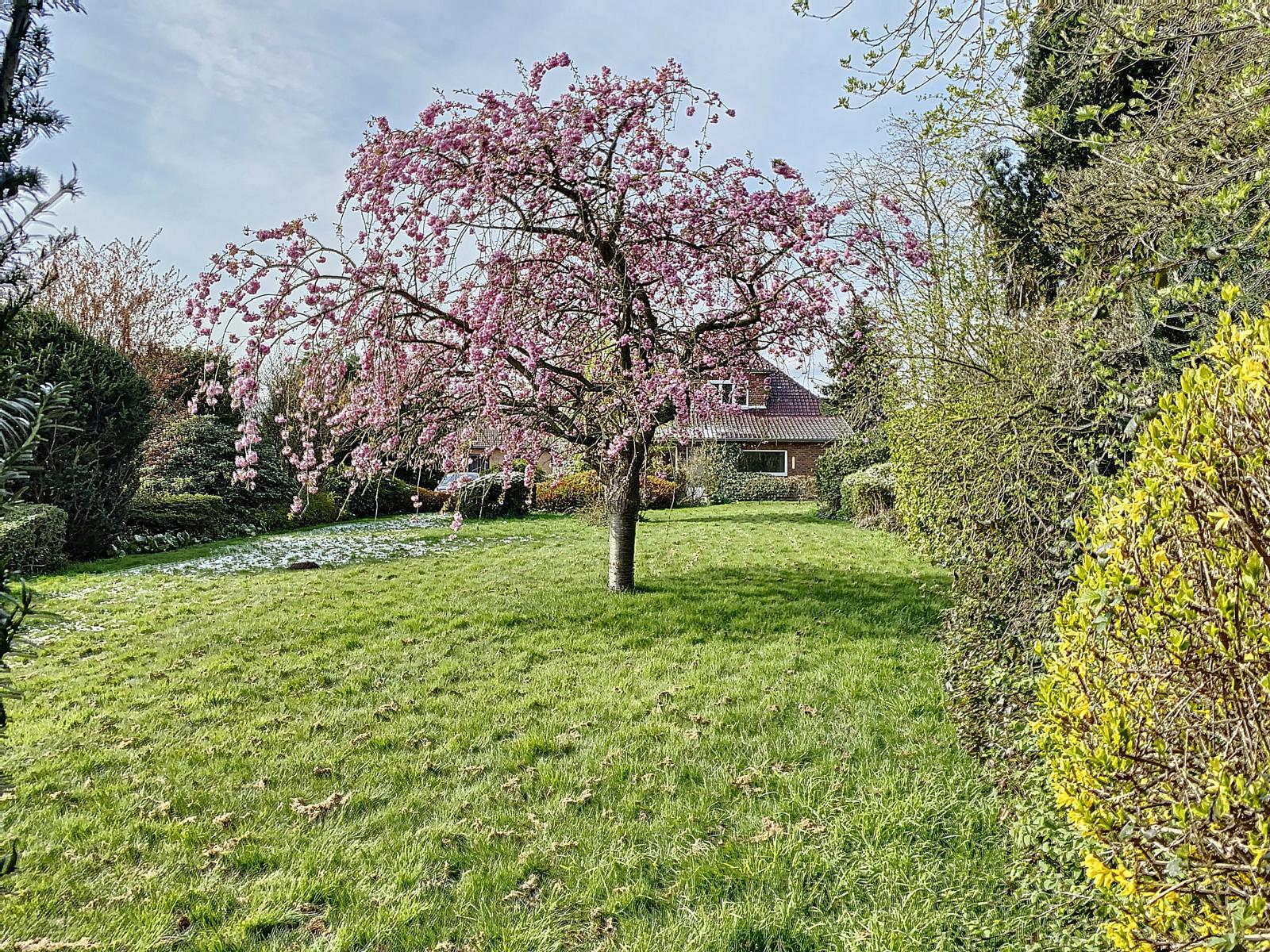 House for sale Overijse -, Real estate agency Brussels - 