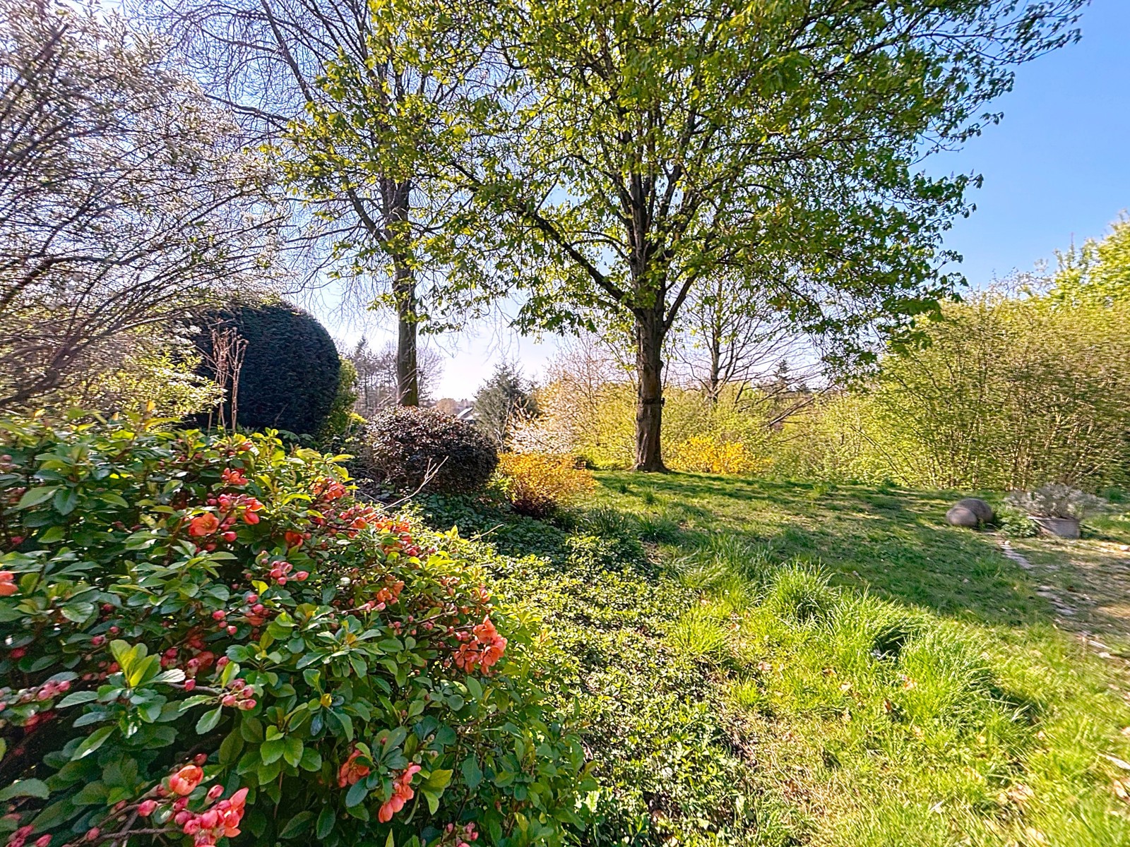 House for sale Overijse 845.000 €, Real estate agency Brussels - 