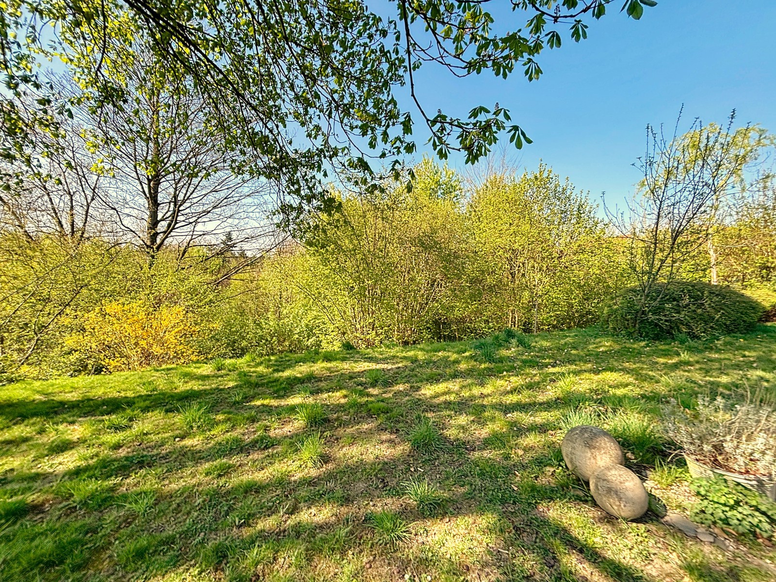 House for sale Overijse 845.000 €, Real estate agency Brussels - 