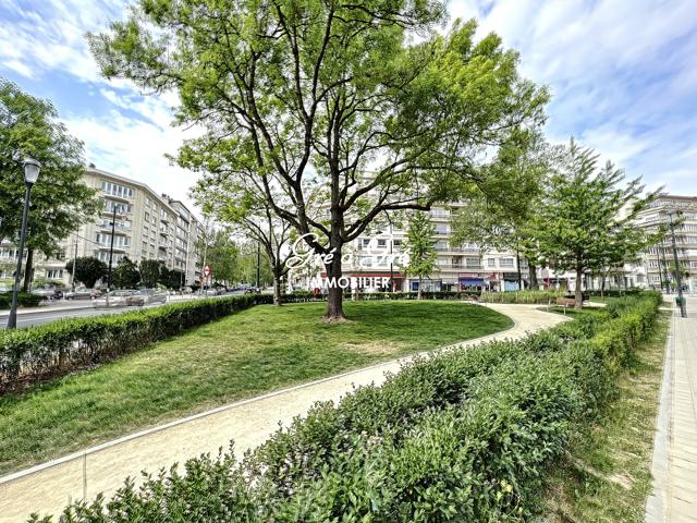 Appartement - te huur - 1050 Ixelles