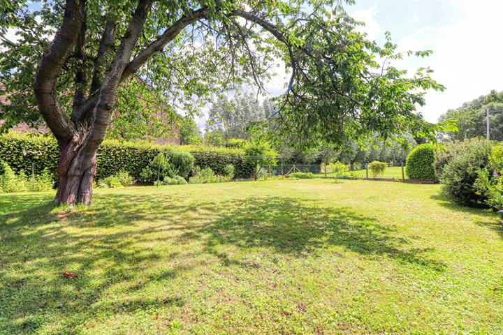 Villa - à vendre - 1700 Dilbeek - #4090459-36