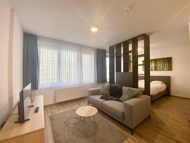 Studio - à louer - 1000 Bruxelles - #4284670-3