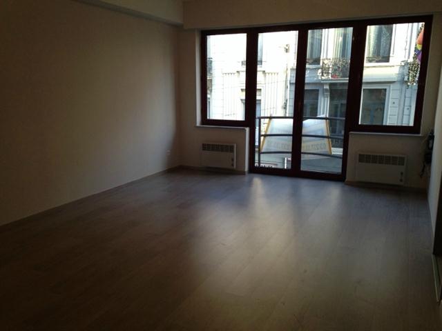 Appartement (1slpk) in centrum van Antwerpen