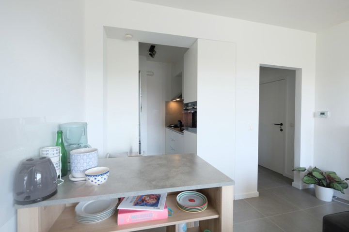 Gerenoveerd appartement op 't Eilandje