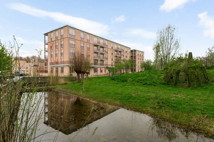 Project Terneuzenwegel